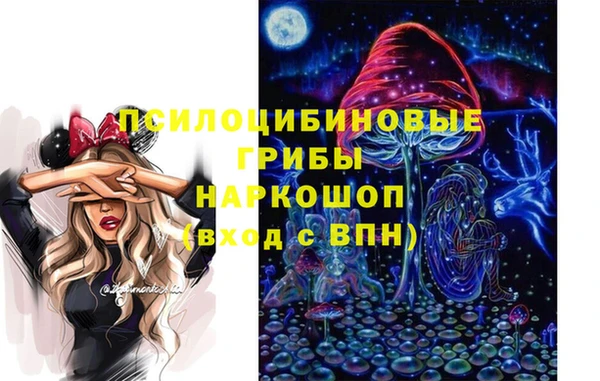 дмт Алексин
