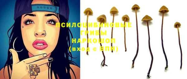 спиды Алзамай
