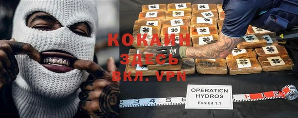 дмт Алексин